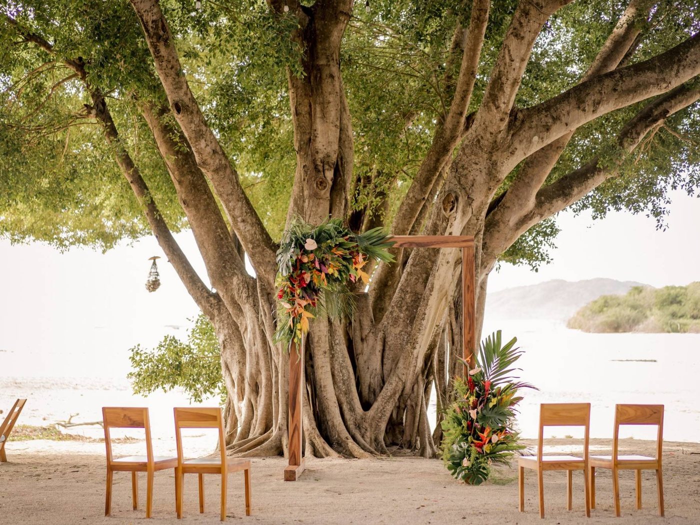 The ceremony setting at Pangas Beach Club — a wooden arch beneath the beachfront fig tree